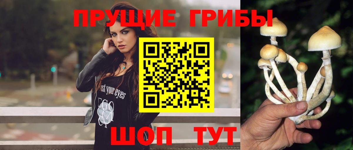 Псилоцибиновые грибы GOLDEN TEACHER  Вход с VPN  магазин продажи наркотиков  Канаш 